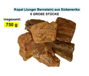 Roher Kopal (Junger Bernstein) aus Südamerika - 6 Stück insgesamt 750 g - Bild 1 von 19
