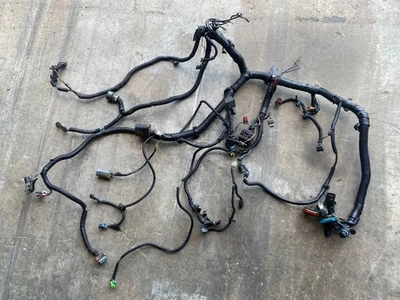 Chevrolet S10 Blazer 96 1996 S10 motor arnés de cables 4,3 L 4x4 AT Foto 1 de 4