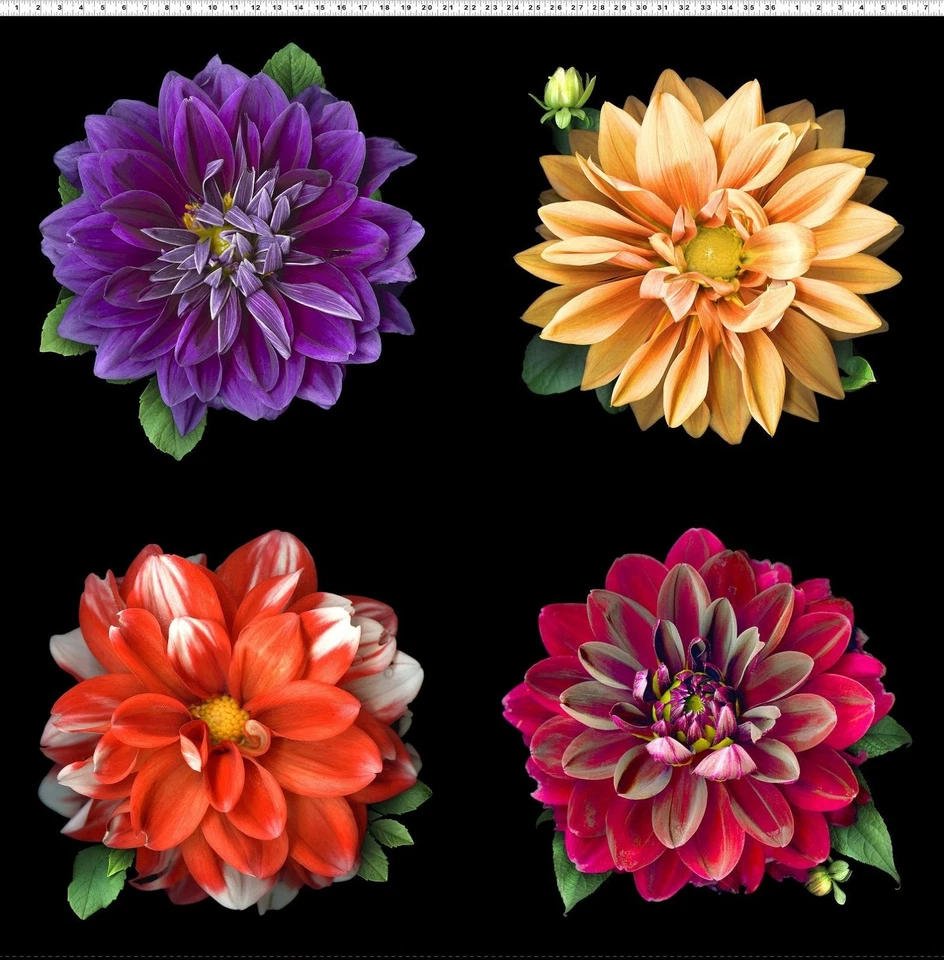 Dahlia Flowers 44" digital panel by Clothworks, Tinas Garden, Y3674-55, cotton - Image 1 of 1