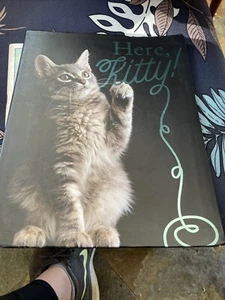 Here, Kitty! by Swinney (paperback) - Imagen 1 de 5