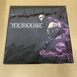 Dead or Alive/Youthquake 283P615 Used LP - Picture 1 of 1