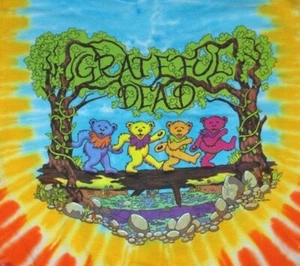 Grateful Dead Dancing Bears Gr. MEDIUM - perfekt für die nächsten Dead & Company Shows - Bild 1 von 3