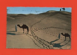 Scenes And Types - Dunes Sand ( Ref. I 9712) - Picture 1 of 3