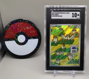 Fiamme di Ossidiana #207/197 Illustrazione Pidgey Rara SGC 10 - Foto 1 di 1