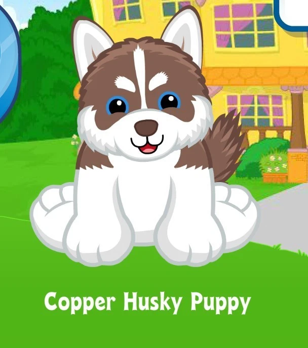 Webkinz Classic Copper Husky Puppy Virtual Adoption Code Only Messaged - Image 1 of 1
