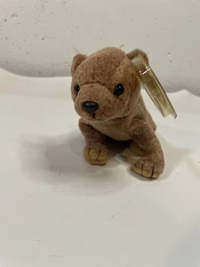 Ty Beanie Baby Babies Pecan the Bear - Picture 1 of 10