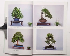 22. Shinshu Bonsai Meihin Ausstellung Fotobuch 1998 selten - Bild 1 von 12
