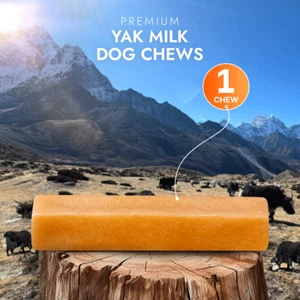 Himalayan Yak Milk Bones for Medium dogs - 1pc, Long lasting and Hard Dog Chews - Picture 1 of 13