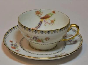Antique ELITE LIMOGES France BIRD of PARADISE Pattern Set Cup & Saucer - Picture 1 of 5