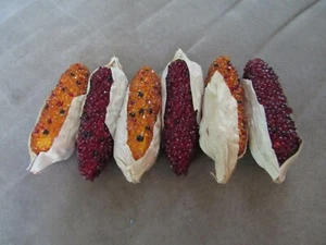 Corn On Cob Dried for decorating, some grains of corn have come off the cobs, 8 - Picture 1 of 7