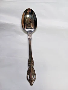 Raphael Distinction Deluxe Stainless by Oneida HH Oval Soup Spoon 6 7/8" - Picture 1 of 3