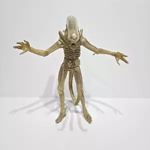 NECA Alien Xenomorph Traslucido Prototipo Tuta Guerriero Big Chap - Foto 1 di 4