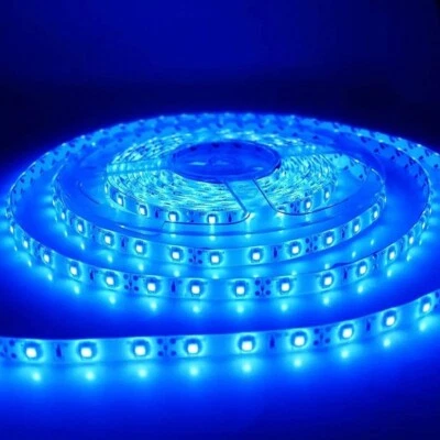 Bobina Led Blu 12V 3528 5 Metri 300 SMD 24W IP65 CPL Compreso Alimentatore PV - Immagine 1 di 4