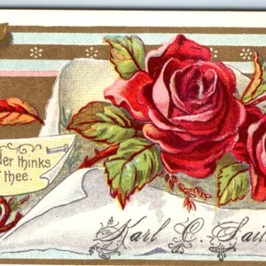 El remitente de tarjetas comerciales de llamadas con nombres "Karl Sailer" de la década de 1880 piensa colorida rosa dorada C3 - Imagen 1 de 3