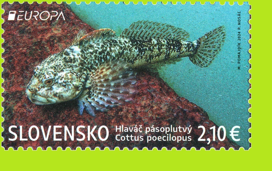 Slovakia 2024 EUROPA Stamps - Underwater Flora and Fauna - MNH - Image 1 of 1