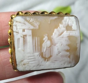 19th Century ANTIQUE Carved Shell Scenic Cameo Pin Brooch, Lady in Garden, Nice! - Picture 1 of 16