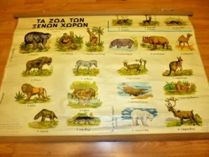 TOLLES GRIECHISCHES LITHO SCHULWANDPOSTER - TIERE IN ZWINGENDEN LÄNDERN - 50er - Bild 1 von 4