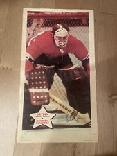 1971-72 OPC Poster KEN DRYDEN Montreal Canadiens Goalie ROOKIE SEASON Hockey NHL