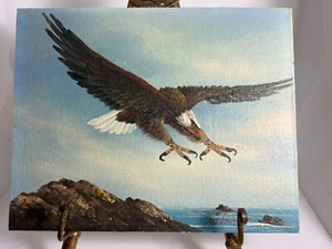 Original Gemälde aufgelisteter Künstler Weißkopfseeadler Küste Ozean m. Amadio Panel 10 x 8 Zoll - Bild 1 von 11