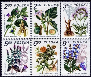 POLONIA 1980 FLORA plantas medicinales flores - MNH - Imagen 1 de 1