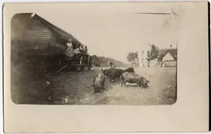 POLKS IN WAGON AT PIG FARM VINTAGE RPPC FOTO REAL POSTAL C 1910 041921 Q - Imagen 1 de 4