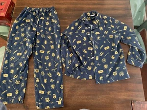 Pottery Barn Kids Harry Potter Pajama Set Top Bottom Size 10 Wizarding World - Picture 1 of 6