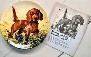 Edwin M. Knowles Field Puppies "Missing the Point" Irish Setter-Lynn Katz by UKC - Picture 1 of 4