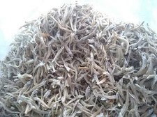 MUSLIM + HALAL PRODUCT FROM MALAYSIA : DRIED ANCHOVIES (1KG)