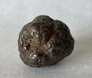 113 g gut geformter antiker fossiler Koprolit prähistorischer Dinosaurier Kacke - Bild 1 von 10