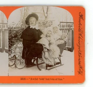 Schrecklich "erzählt", aber viel Spaß Winterschlitten Keystone Genre Stereoansicht - Bild 1 von 3