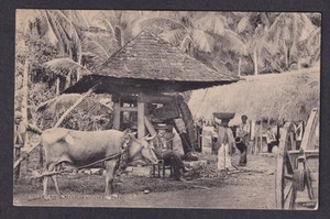 Dominica Brirish West Indies 1929 postcard Time Factory to USA - Picture 1 of 2