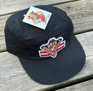 90s Vintage CHICAGO BULLS Hat Youth Strapback Taz Looney Tunes NWT - Picture 1 of 4