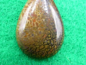 Schöner Dinosaurier Knochen Cabochon * Anhänger * 30 cts. - Bild 1 von 7