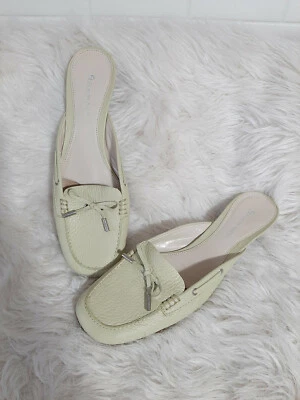 Sandalias de tacón bajo Etienne Aigner verde claro punta cerrada talla 9M hechas en Brasil Foto 1 de 4