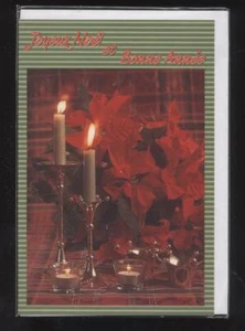 Nuovo Carte Buon Natale E Buona Anno + Busta 10 Sized CP Acquistato - Picture 1 of 1