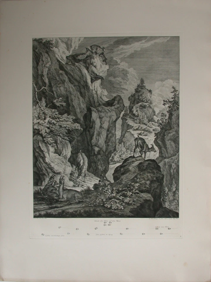 3 Kupferstiche von Johann Elias Ridinger (1698-1767) im repräsentativen Format - Bild 1 von 4