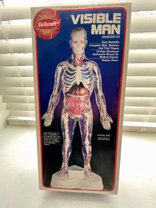 Vintage Skilcraft 74622 The Visible Woman Anatomy Figure Plastic Model Kit - Picture 1 of 12