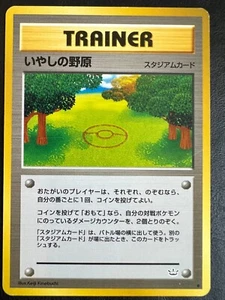 Campos de curación japoneses de Pokémon - Leyendas del despertar neo - Imagen 1 de 2