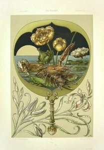 Lobster, Water Lilies : Anton Seder : 1890 : Archival Quality Art Print to Frame - Picture 1 of 2