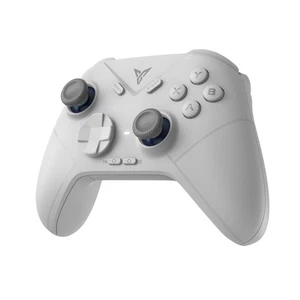 Direwolf 3 Wireless PC Controller, Hall Effekt Joysticks Trigger, 1000 Hz Pol... - Bild 1 von 7