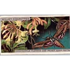 1924 Wills's Do You Know Cigarette Card 2nd Series. #16 Why Flowers Smell? SE5