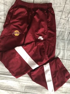 Vintage Air Nike MINNESOTA GOLDEN GOPHERS gefütterte Jogginghose Größe Large wie abgebildet - Bild 1 von 12
