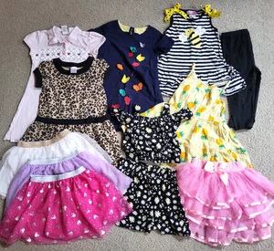 Girls' Clothes Size 4T 12 piece clothing lot dresses tutu skirts and more - Picture 1 of 8