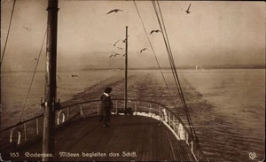 Ak Bodensee, Dampfer, Möwen begleiten das Schiff - 4891377 - Picture 1 of 2