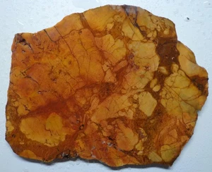 WRG- Chicken Trac Jasper Slab 102 grams Utah Lapidary Old Stock agate rhyolite - Picture 1 of 4