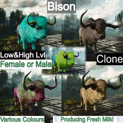 MY ARK ASCENDED Ark Survival Ascended Pve Bison Low&High Lvl Clone