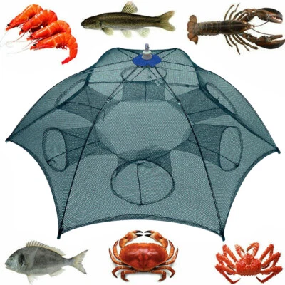 Faltbare Köderfischreuse Fisch Reuse Fischernetz Aalreuse Krebsreuse 6 Öffnungen - Bild 1 von 4