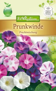 Prunkwinde Prachtmischung - Ipomoea purpurea, Winde, Samen 5615 - Bild 1 von 2