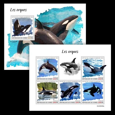 Марки косатки косатки киты как новые без наклеек и следов 2023 Гвинея M/S + S/S - Изображение 1 из 3