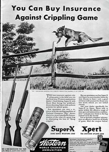 1940 Winchester Model 12 & 40 Western Super-X Xpert Ammo Original Ad - Picture 1 of 1